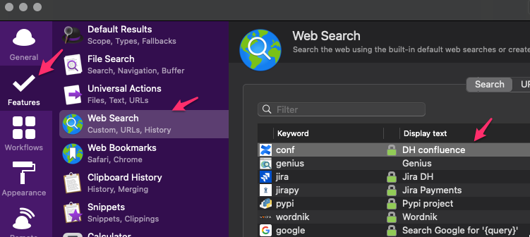 Alfred's setting Features -> Web Search highlighted
