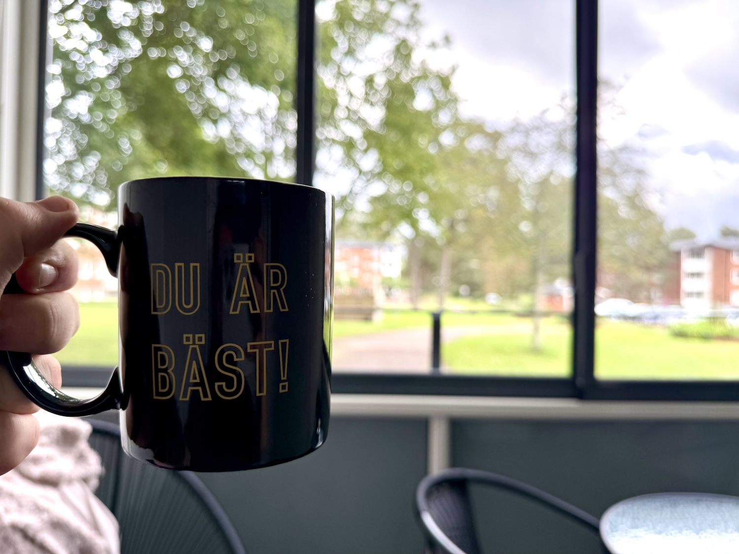 Black coffee mug with gold text reading 'DU ÄR BÄST!' held by a hand, with a blurred view through a window showing green trees and buildings in the background